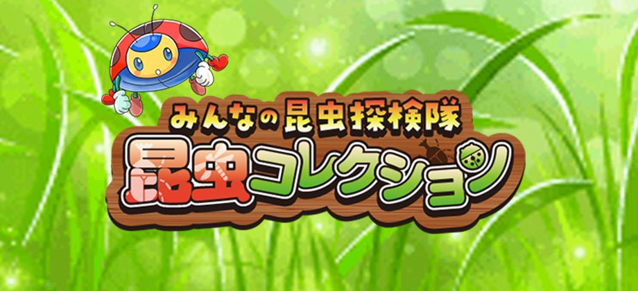 昆虫コレクション