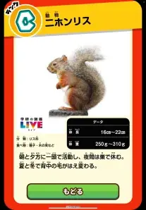 探索アトラクション　いきものレスキュー「キミだけ図鑑」 の様子2