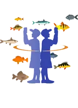 360°見渡して魚を探すイメージ