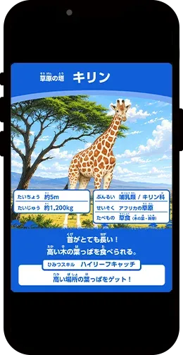 動物カード2