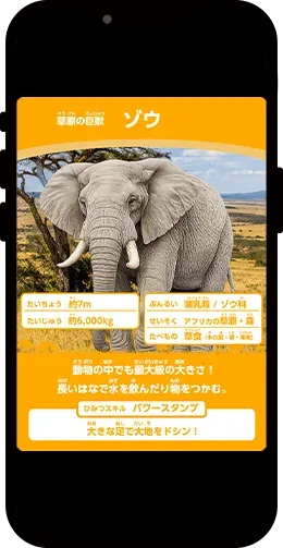 動物カード3