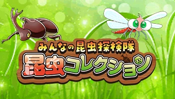 昆虫コレクション