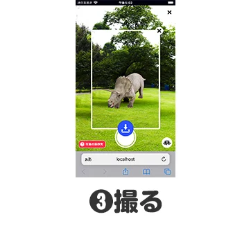 撮る