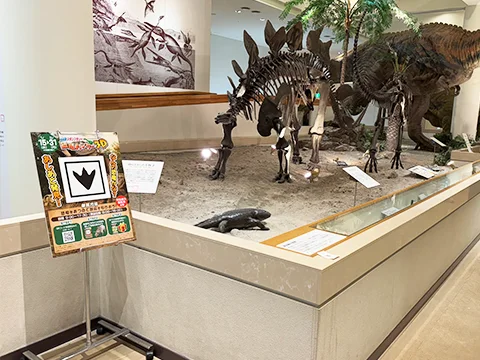 愛媛県総合科学博物館の実施の様子